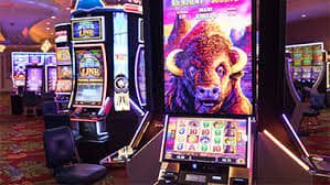 blaze bet br