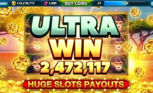 blaze bet br